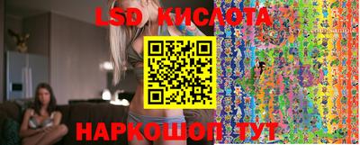 гидропоника Славгород