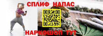 гидропоника Славгород
