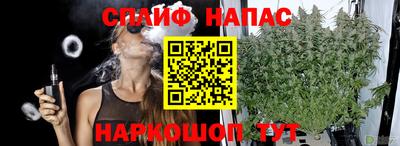 гидропоника Славгород