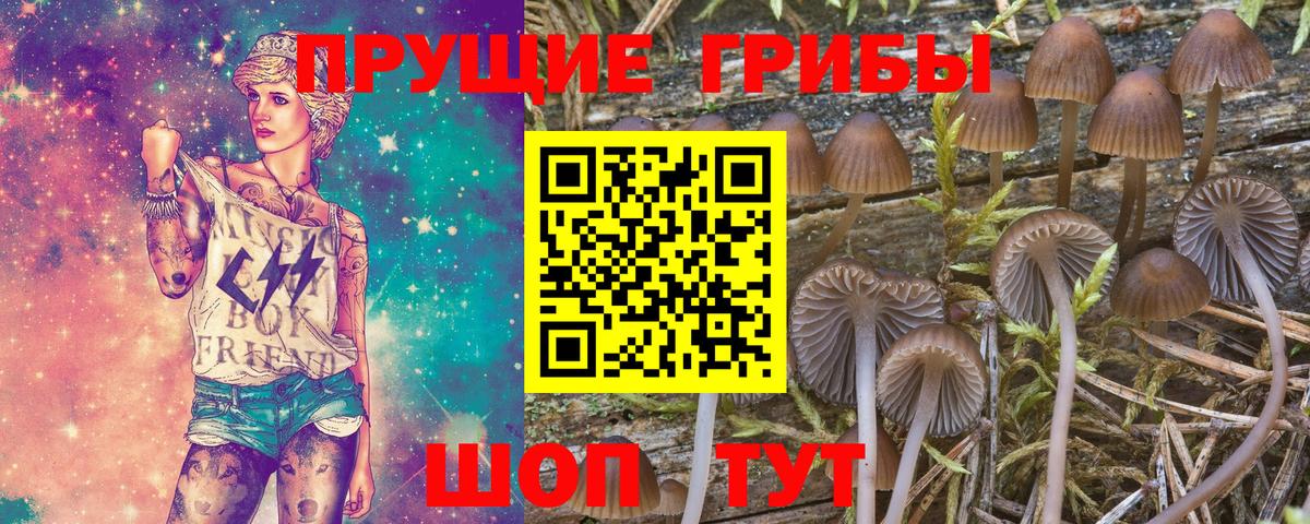 Псилоцибиновые грибы мицелий  закладки  Петрозаводск  Вход с VPN 