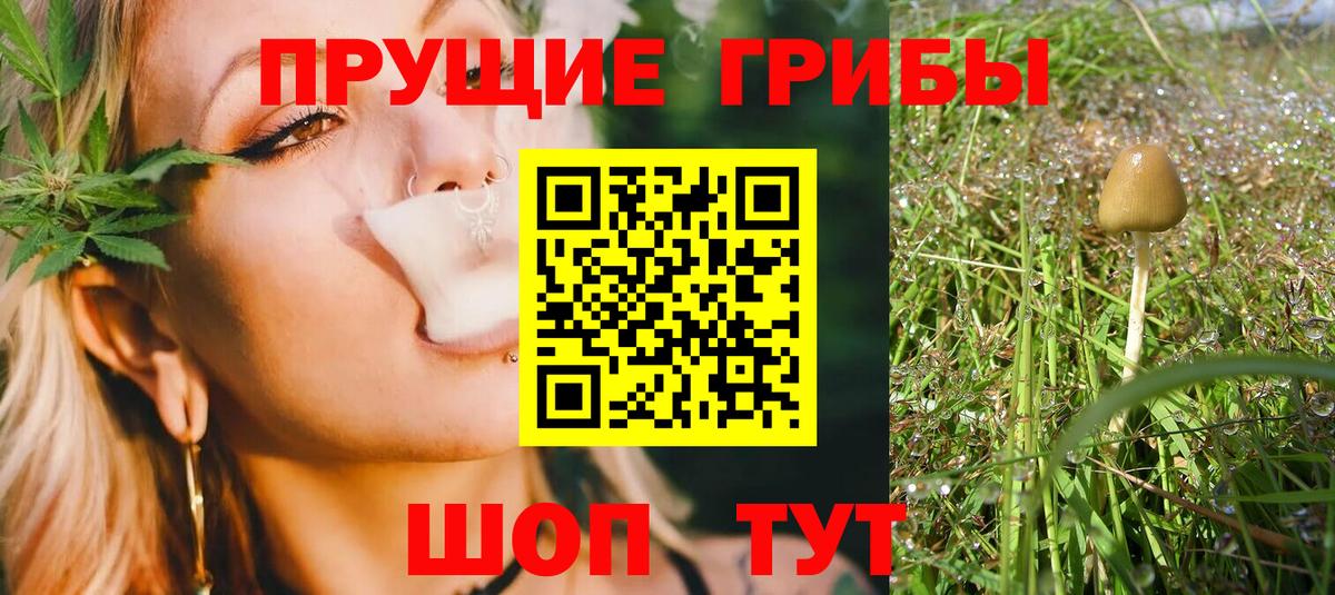 Галлюциногенные грибы прущие грибы Петрозаводск